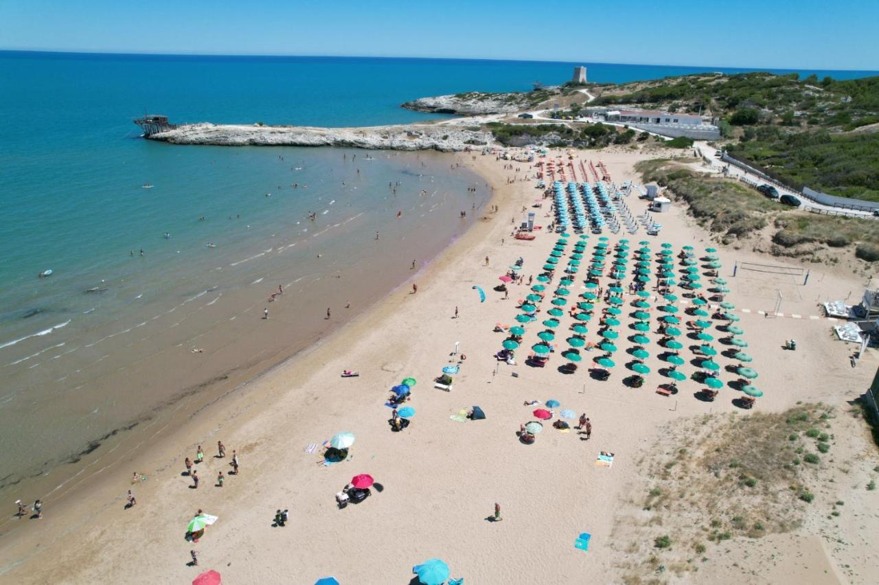 Villaggio Turistico Scialmarino Vieste Zewnętrze zdjęcie